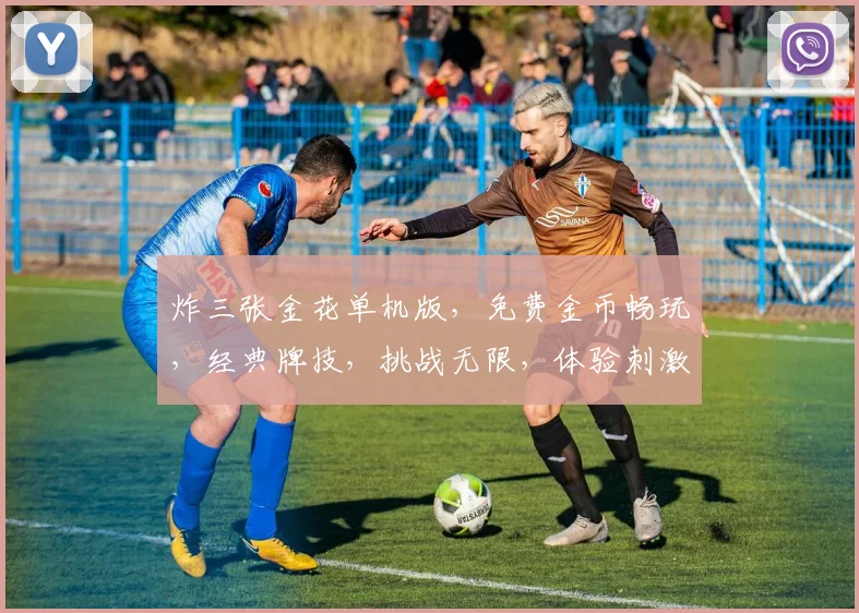炸三张金花单机版，免费金币畅玩，经典牌技，挑战无限，体验刺激逗乐