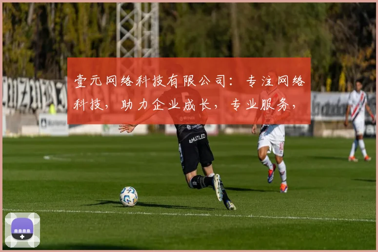 壹元网络科技有限公司：专注网络科技，助力企业成长，专业服务，三重保障，值得信赖